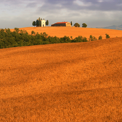 Tuscany and Cinque Terre Photo Workshop Day 3 Tuscany Val d'Orcia