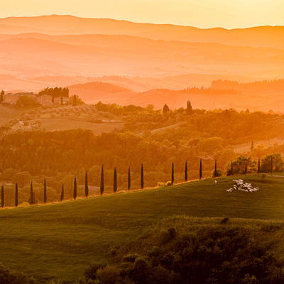 Tuscany and Cinque Terre Photo Workshop Day 5 Tuscany Crete Sienese