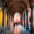 Bologna in Motion